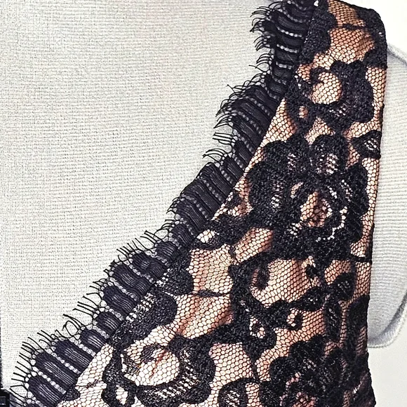 Classy Eliza J New York Black Lace & Nude Champagne Elegant Lady Cocktail Dress - Picture 12 of 15